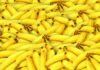 Jak zrobić banana na parze? Jak zrobić banana na parze?