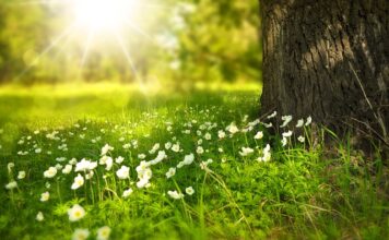 Co lepsze belka skrętna czy zawieszenie wielowahaczowe?